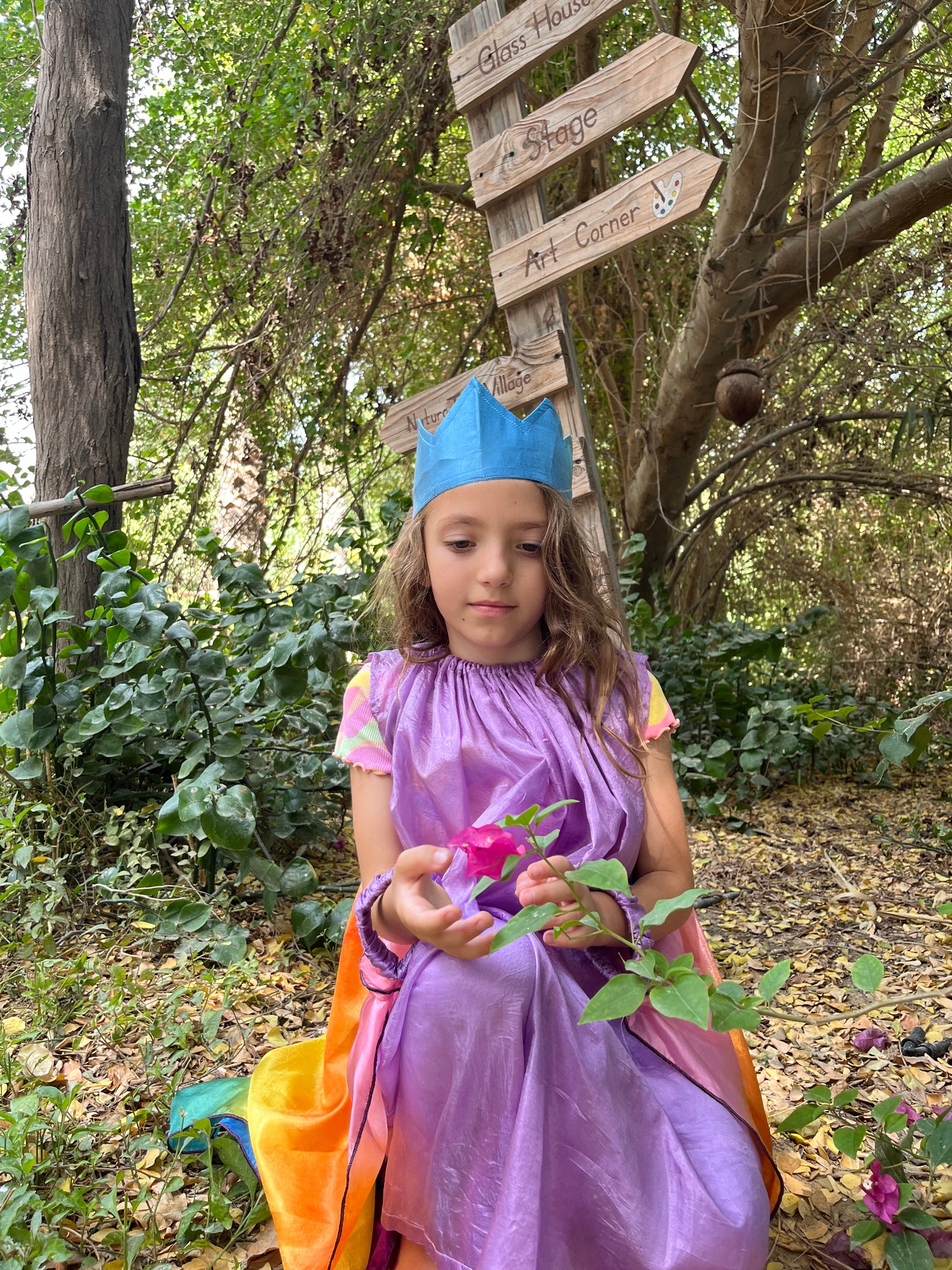 Fairy Dress