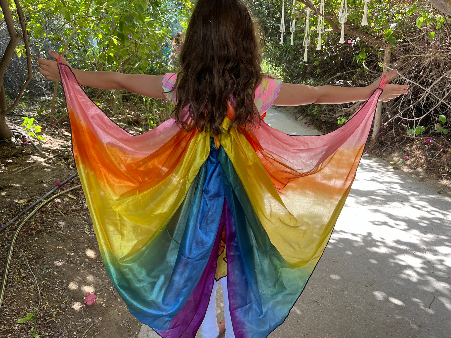 Rainbow Butterfly π¦