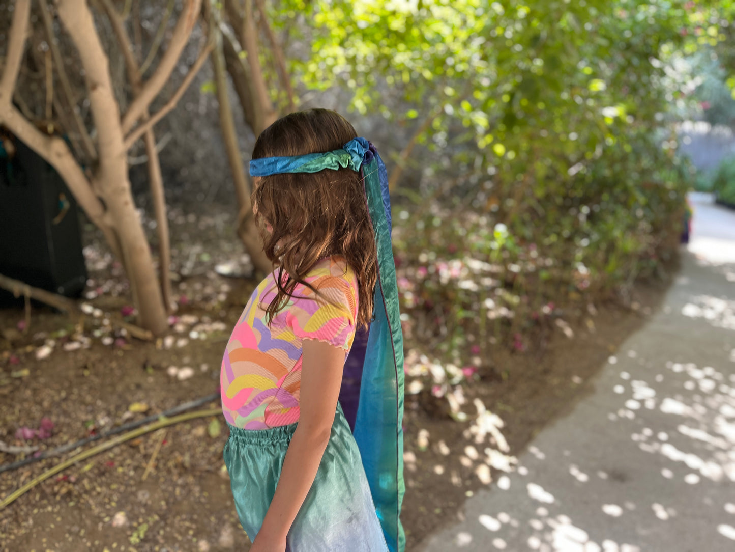 Colorful Silk Veil