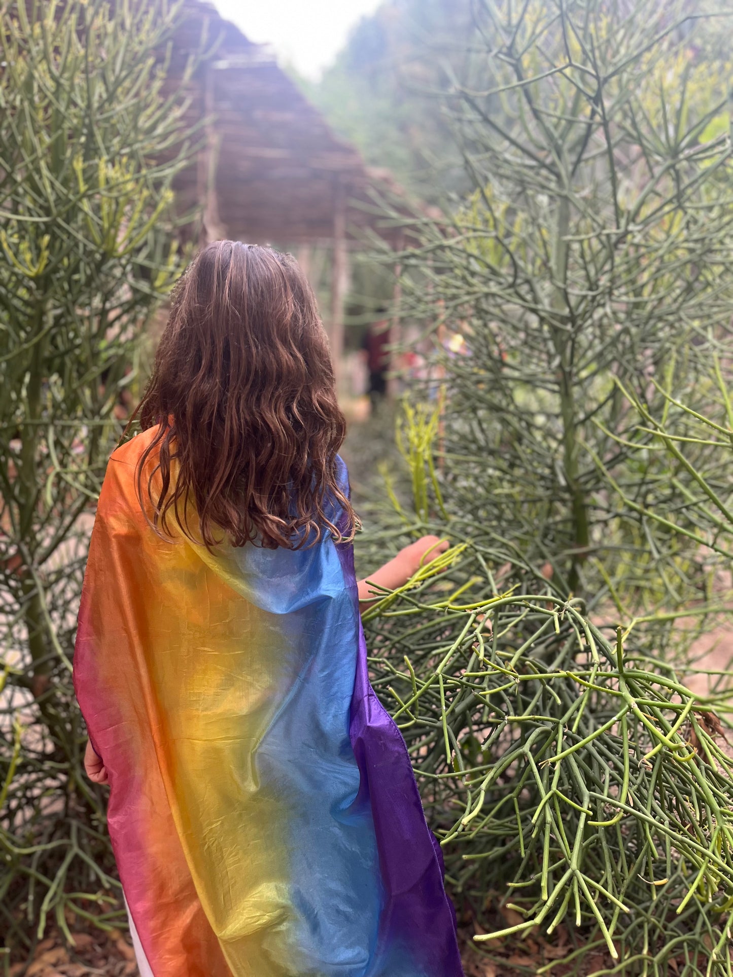 Rainbow Silk Cape with Crown